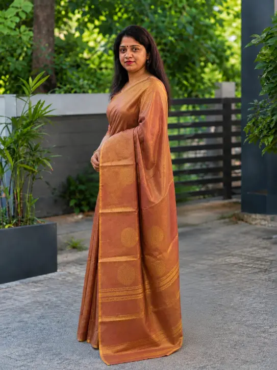 Women’s Tissue Cotton Saree|Elegant Golden Border - Image 3